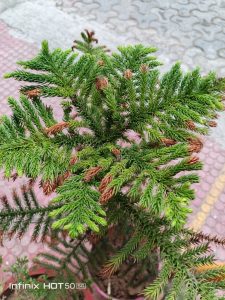 IMG_20240908_181911_835