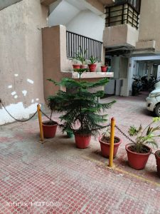 IMG_20240908_181945_701