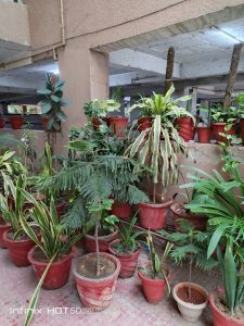 IMG_20240908_182228_452