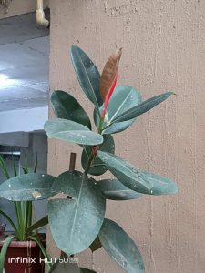 IMG_20240908_182244_615