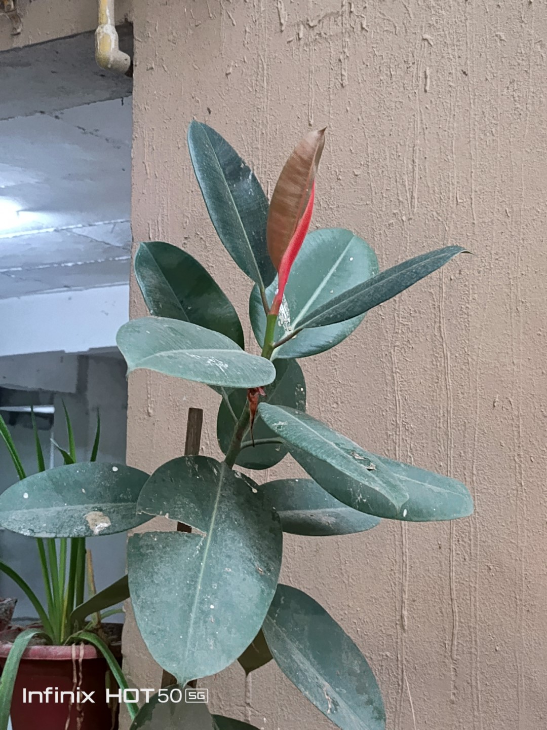 IMG_20240908_182244_615