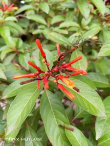 IMG_20240908_182405_879