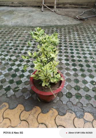 IMG_20240911_160335_332