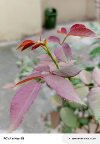 IMG_20240911_160352_114