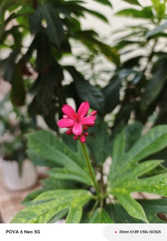 IMG_20240911_160433_911