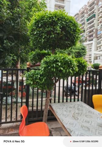 IMG_20240911_161426_603