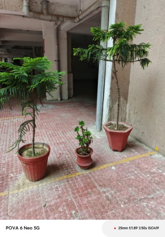 IMG_20240911_162825_484