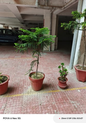 IMG_20240911_162827_536