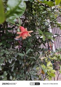 IMG_20240920_164813_952