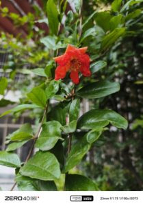 IMG_20240920_164830_822