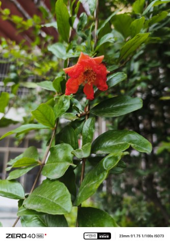 IMG_20240920_164830_822