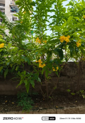 IMG_20240920_164909_158