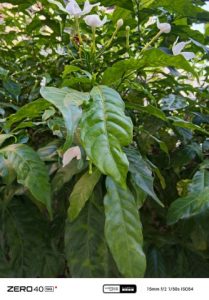 IMG_20240920_164920_431