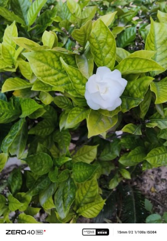 IMG_20240920_165004_435