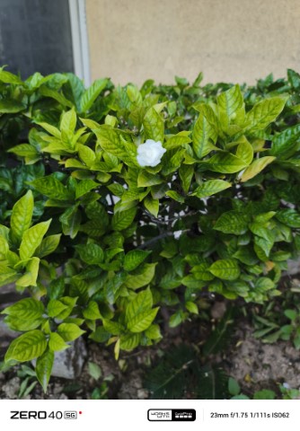 IMG_20240920_165008_127