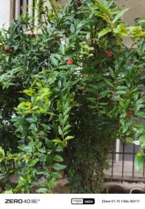 IMG_20240920_165030_811