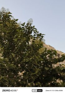 IMG_20240920_170527_060