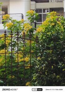 IMG_20240920_170616_017