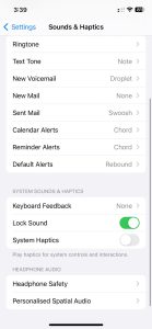 WhatsApp Image 2024-09-03 at 3.39.34 PM (2)