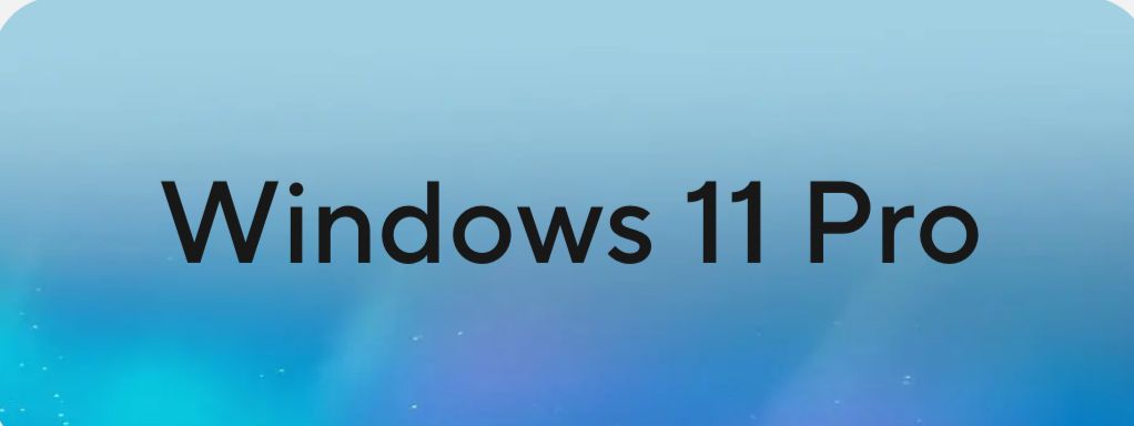 WhatsApp Image 2024-09-19 at 2.10.47 PM (1)