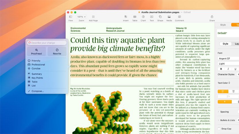 WhatsApp Image 2024-10-30 at 5.46.55 PM