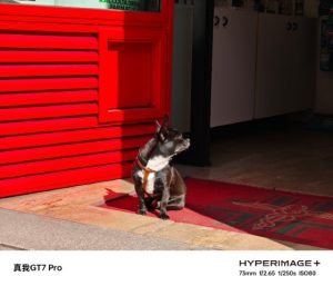 007dP9zpgy1hv6hdew13jj320u1qckjo