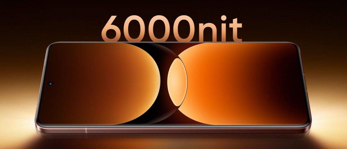 WhatsApp Image 2024-11-04 at 3.18.19 PM