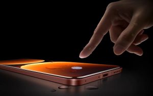 WhatsApp Image 2024-11-04 at 3.18.20 PM