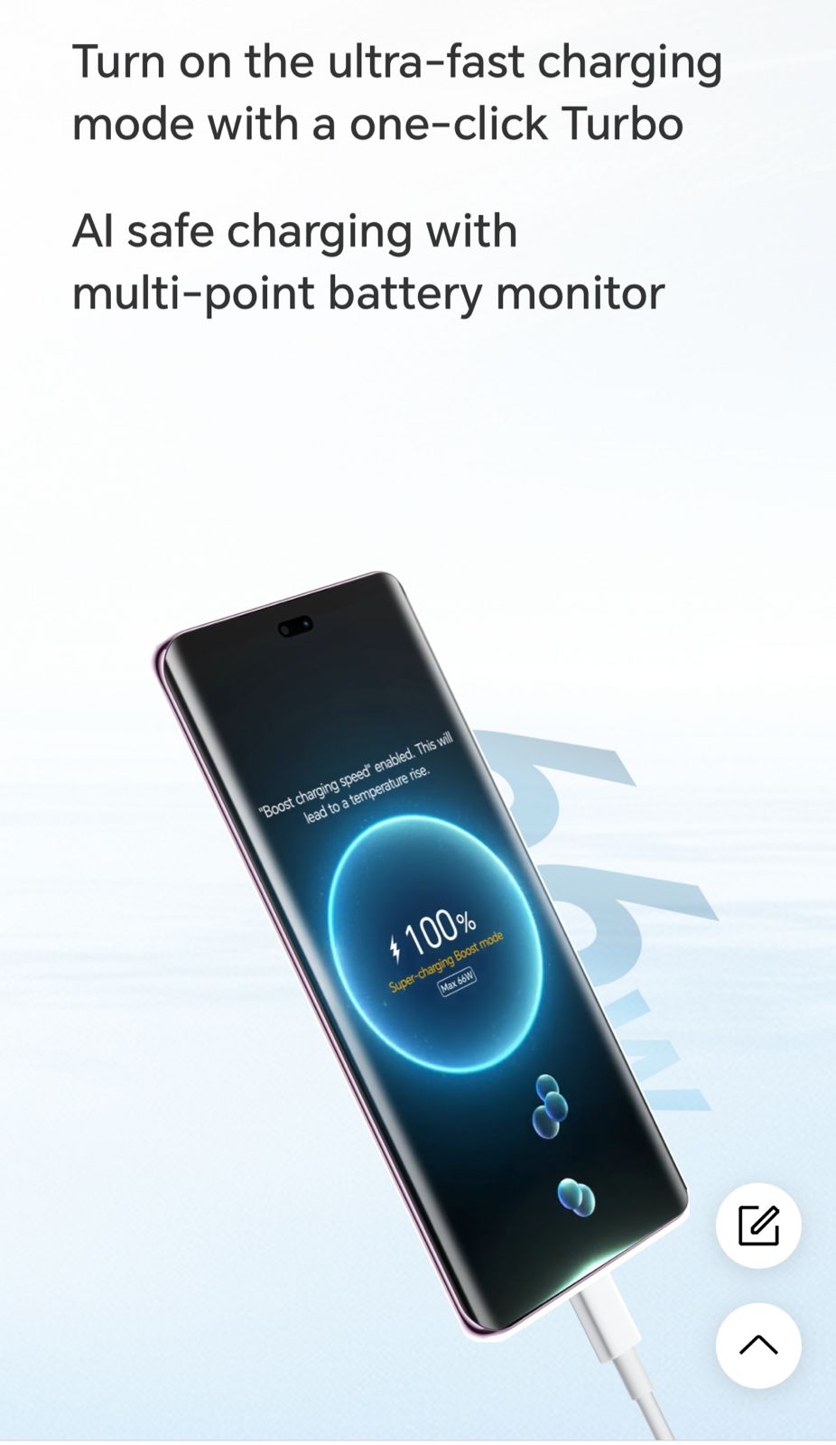 WhatsApp Image 2024-11-06 at 11.48.09 AM (1)