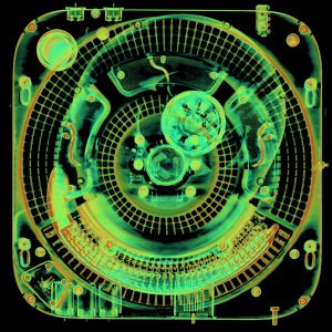 WhatsApp Image 2024-11-13 at 9.43.01 AM