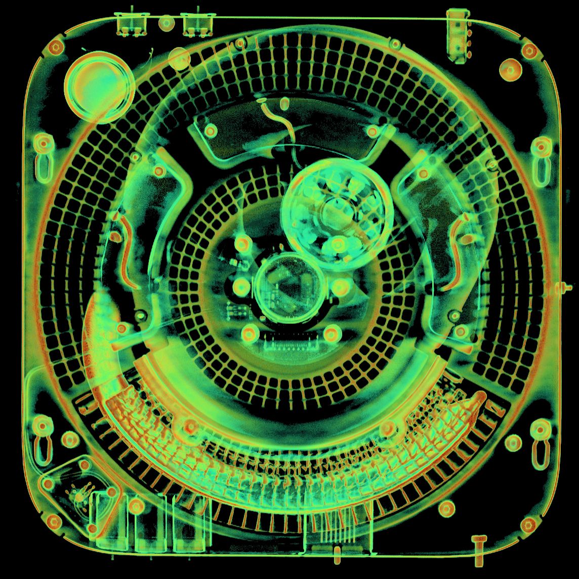 WhatsApp Image 2024-11-13 at 9.43.01 AM