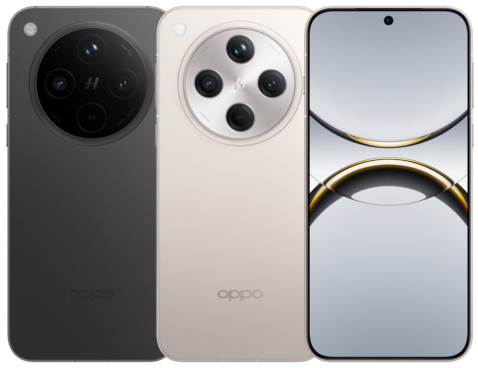 WhatsApp Image 2024-11-21 at 1.30.46 PM (1)