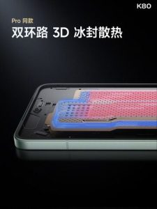 WhatsApp Image 2024-11-28 at 10.42.51 AM (1)