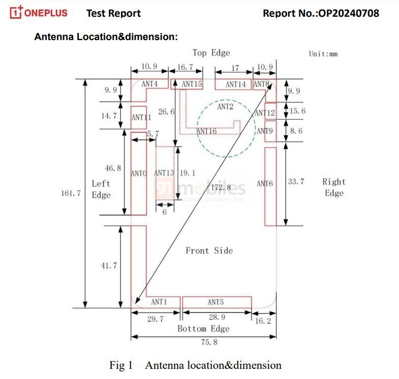 WhatsApp Image 2024-11-29 at 3.18.11 PM