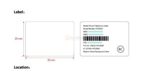 WhatsApp Image 2024-11-29 at 3.18.13 PM