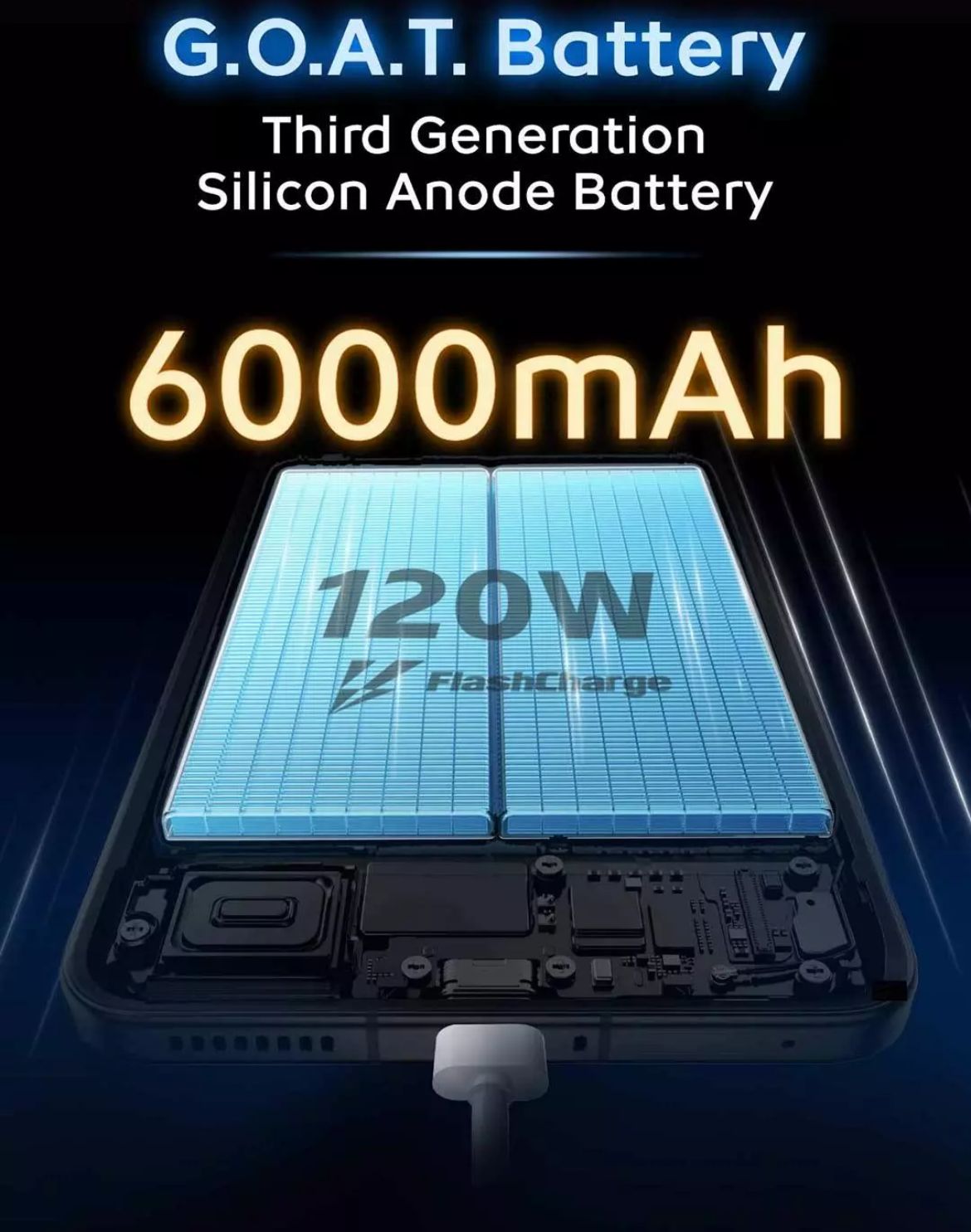 WhatsApp Image 2024-12-03 at 3.41.53 PM