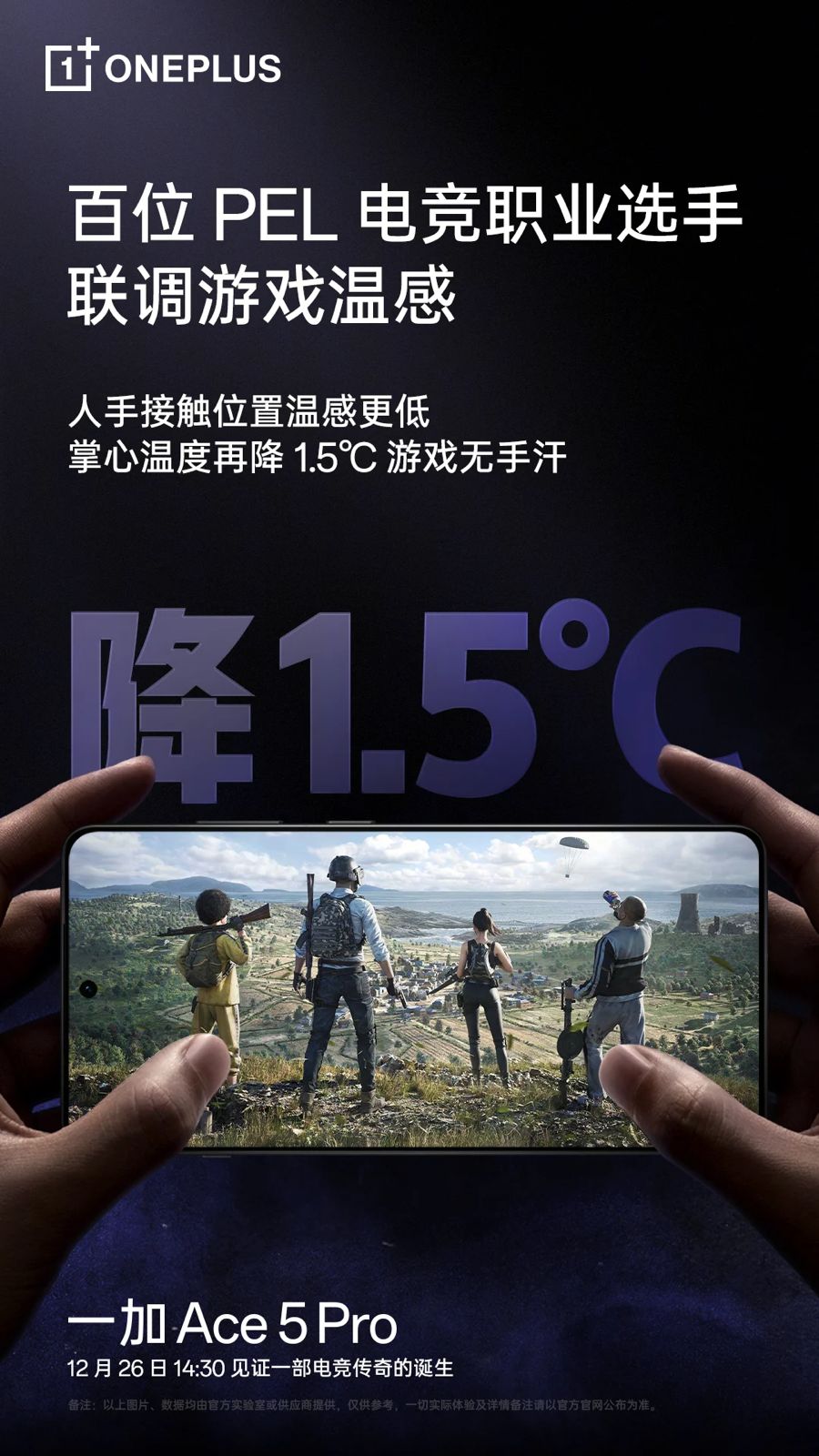 WhatsApp Image 2024-12-23 at 11.26.47 AM