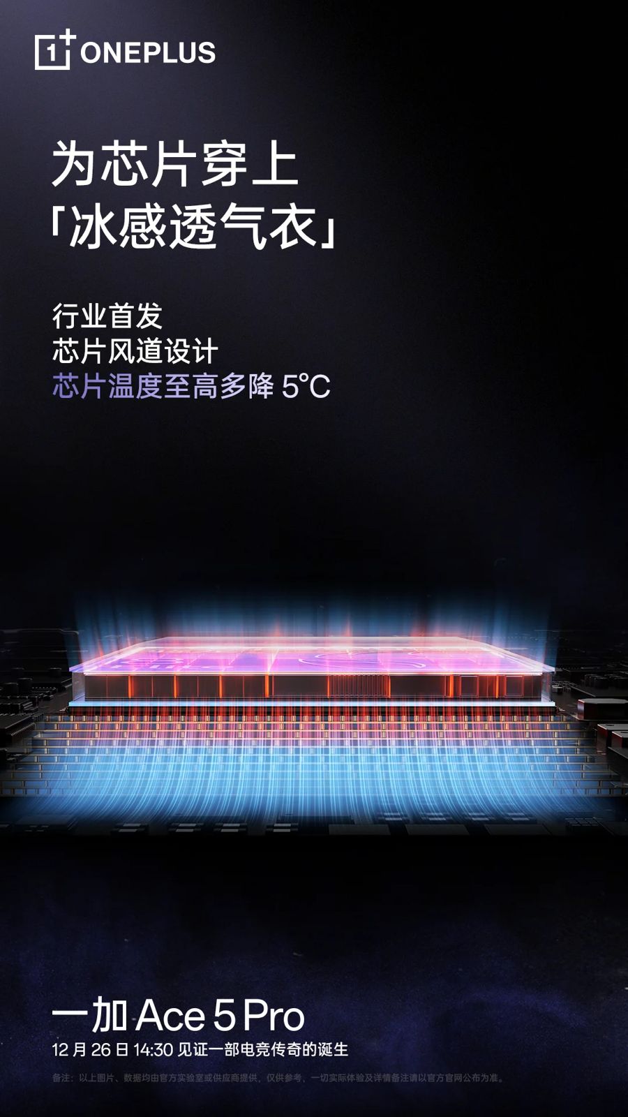 WhatsApp Image 2024-12-23 at 11.26.48 AM