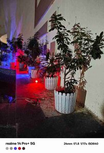 IMG20240103091324_3_11zon