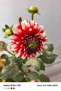 IMG20240109071031_5_11zon