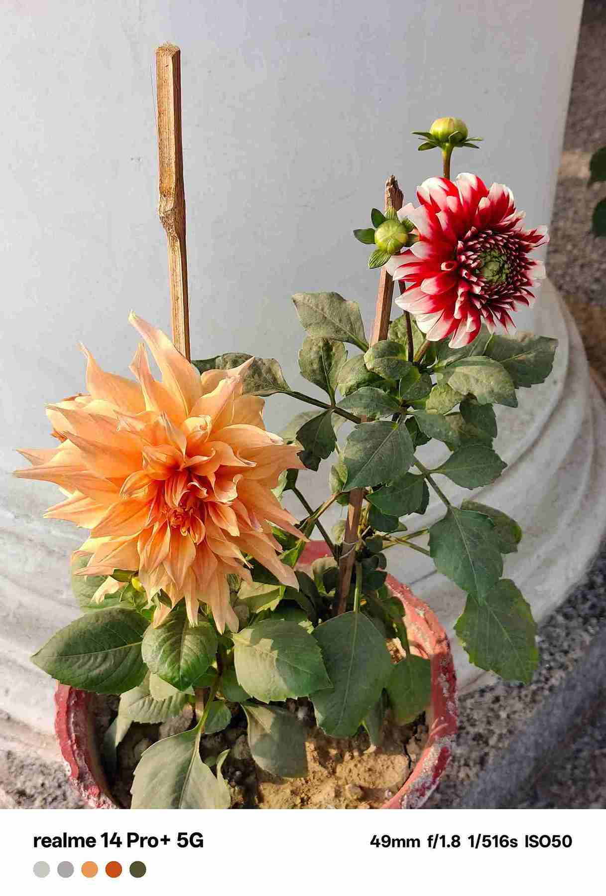 IMG20240109071038_6_11zon