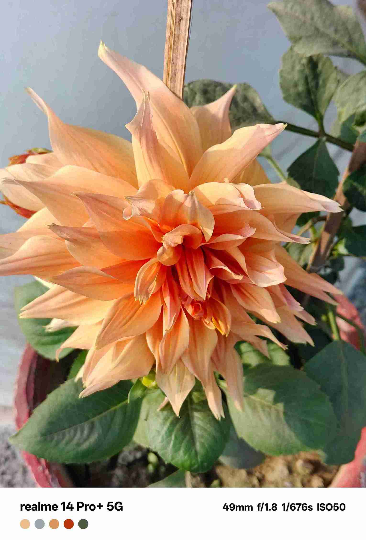 IMG20240109071042_7_11zon