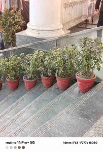 IMG20240109071051_8_11zon