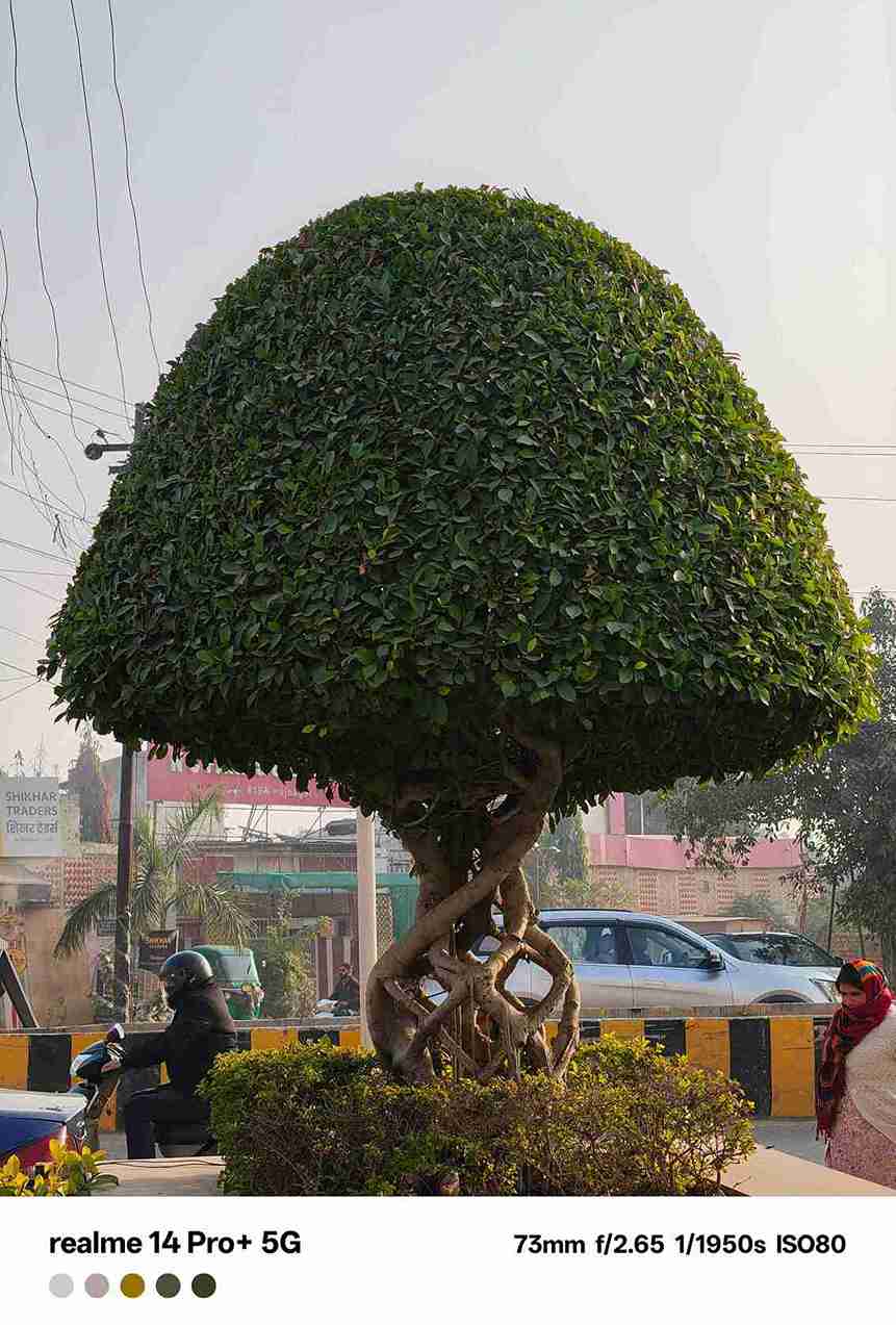 IMG20240109071323_9_11zon