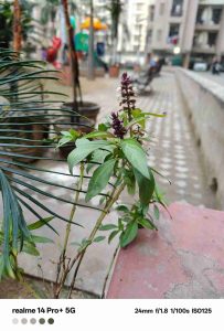 IMG20240109081427_2_11zon