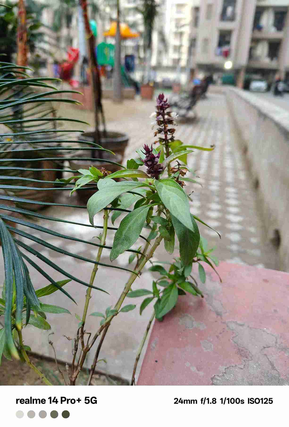 IMG20240109081427_2_11zon