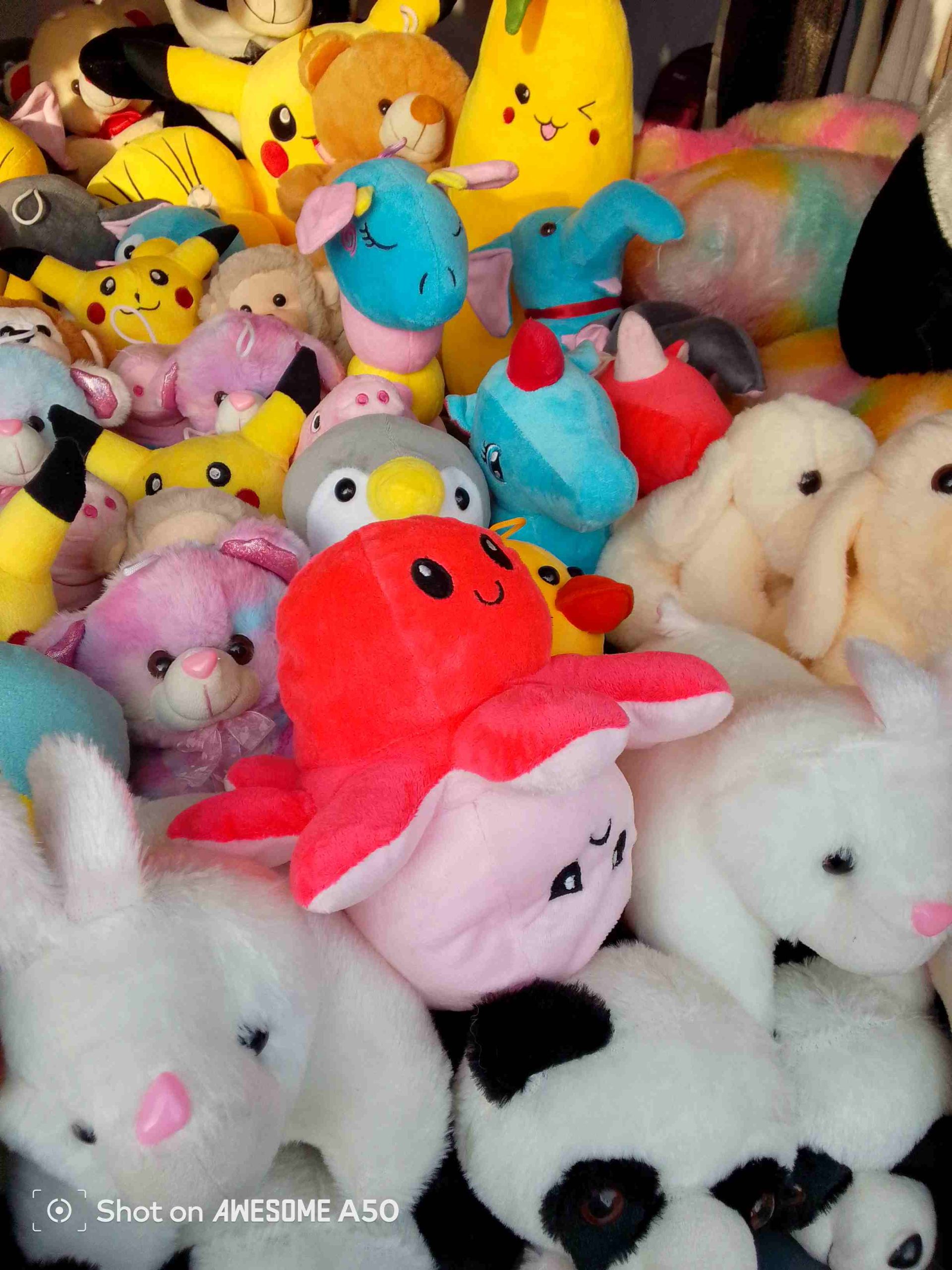 IMG_20241124_155428_985_12_11zon