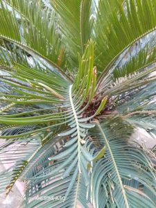 IMG_20241124_165219_137_3_11zon