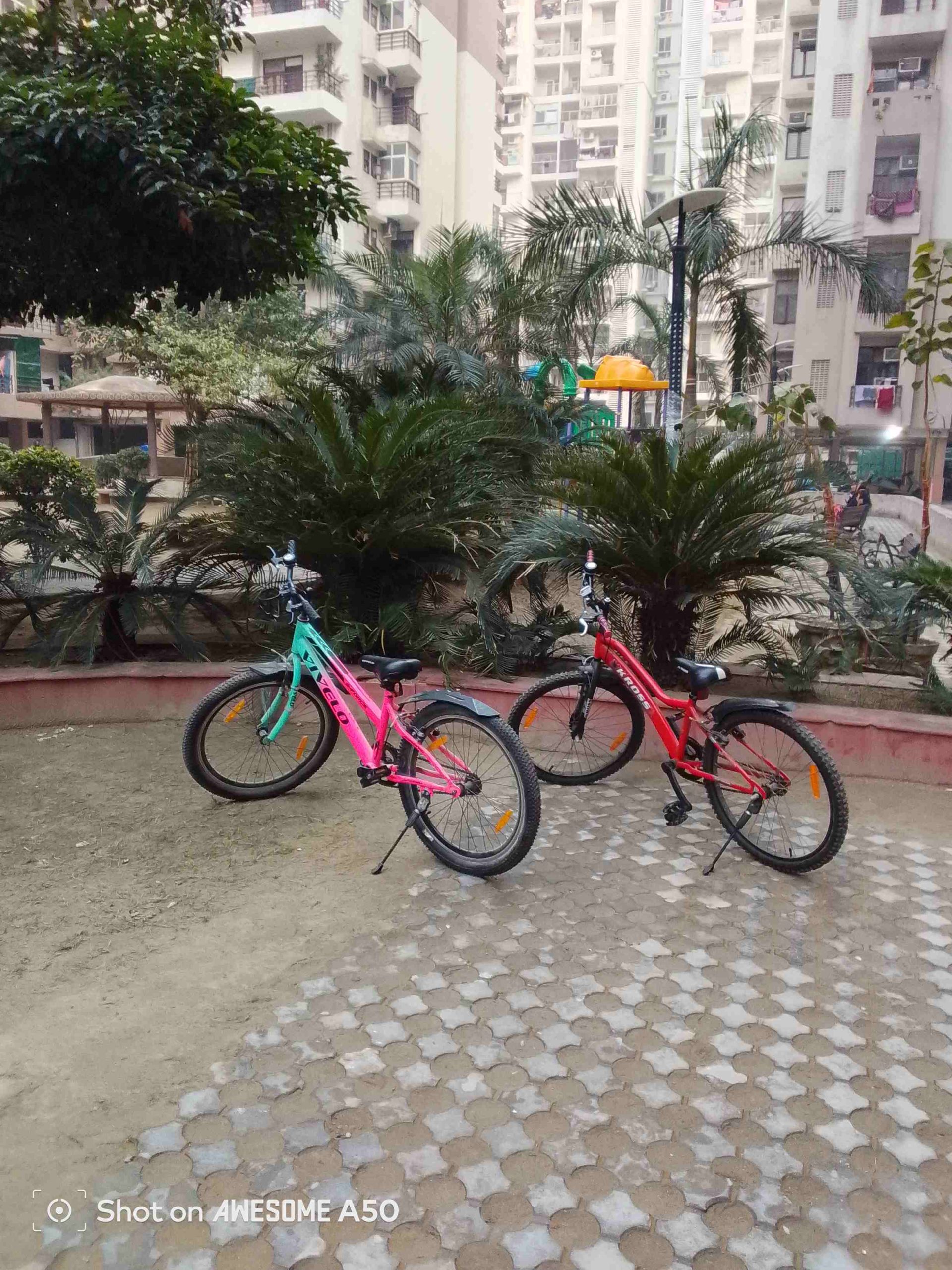 IMG_20241124_165250_144_4_11zon