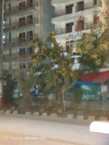 IMG_20241127_183723_036_8_11zon